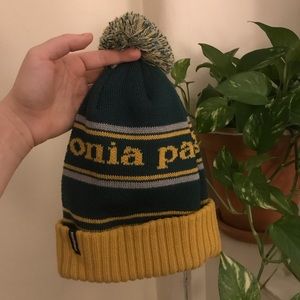 Patagonia Winter Beanie